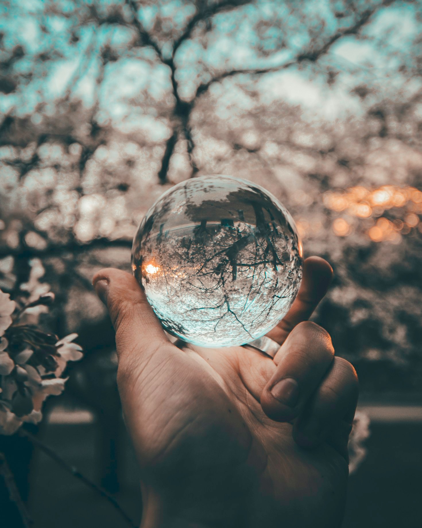Cognitive Biases That Impact Personal Choices